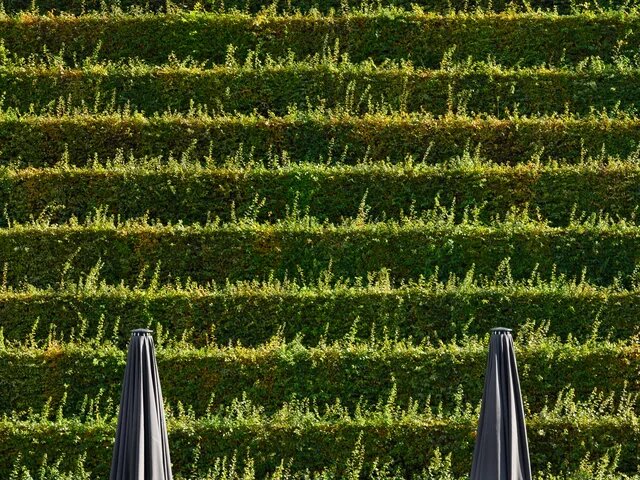 Nahaufnahme der dicht bepflanzten, übereinander liegenden Terrassen eines Gebäudes. Unten zwei geschlossene schwarze Sonnenschirme.