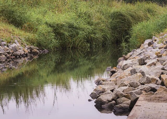 Kleiner Fluss mit steinbefestigtem Ufer rechts und hohem Gras links, das sich im ruhigen Wasser spiegelt.