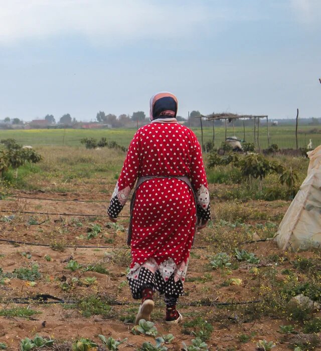 Person von hinten geht über Acker mit jungen Pflanzen und Schläuchen; weite Felder, einfache Holzstruktur im Hintergrund.