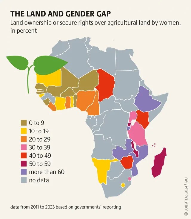 Karte Afrikas: Anteil Frauen mit Landrechten. Titel: Land- und Geschlechterlücke (The Land and Gender Gap); Legende mit Prozentstufen.