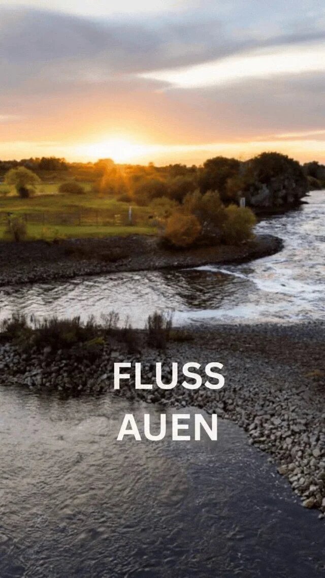 Ein Fluss schlängelt sich bei Sonnenuntergang durch eine grüne Auenlandschaft. Im Vordergrund steht „FLUSS AUEN“.