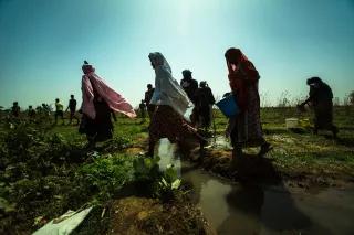 Women in Senegal CEDAW in Senegal - Senegalese women planting sweet potato seeds