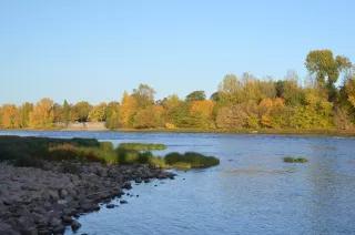 Das Bild zeigt die Elbe bei Magdeburg