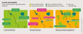 Grafik: Typen mitteleuropäischer Agrarlandschaften im Wandel