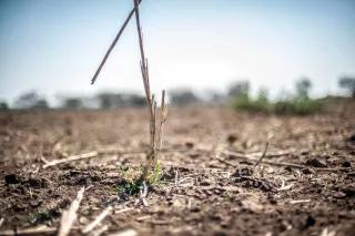 Southern Africa drought - Mozambique