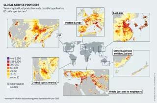 Global service providers Graphic: Insect Atlas 13b - Global service providers