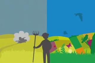 Grafik Biodiversität