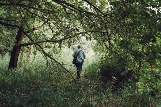 Professor Josef Settele spaziert im Wald