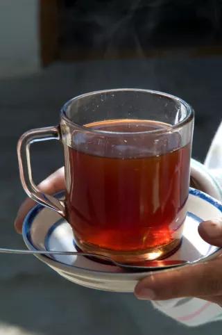 Ein Glas mit Roiboos-Tee