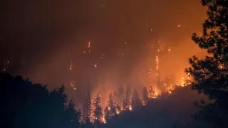 Waldbrand Waldbrand