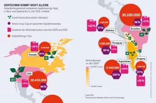 Vor allem im Sojaanbau scheint die gentechnische Veränderung im Saatgut zu einer deutlichen Steigerung des Pestizideinsatzes geführt zu haben Pestizidatlas Infografik: Anbaufläche genetisch veränderter Sojabohnen (gv-Soja) in Nord- und Südamerika im Jahr 2019, in Hektar