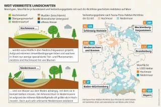 Infografik Mooratlas: Moortypen, Moorfläche je Bundesland und Verbreitungsgebiete mit nach EU-Richtlinie geschützen Habitaten auf Moor