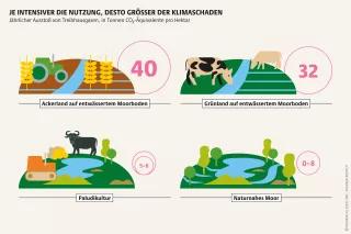 Anbau von Biomasse zum Heizen und Beweidung mit Wasserbüffeln: Paludikultur ermöglicht nachhaltige und lukrative Moornutzung Mooratlas Infografik: Jährlicher Ausstoß von Treibhausgasen, in Tonnen CO»-Äquivalente pro Hektar