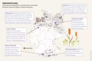 Einst bedeckten deutsche Moore eine Fläche groß wie Sachsen. 95 Prozent davon sind mittlerweile entwässert, abgetorft, bebaut oder landwirtschaftlich genutzt Mooratlas Infografik: Verbreitung von Moorböden in Deutschland und Auswahl berühmter deutscher Moore mit Naturschutzwert
