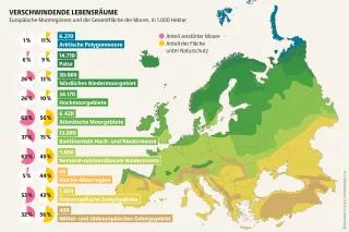 1,8 Millionen Hektar natürliche Moore gab es einst in Deutschland. Ein Großteil davon ist zerstört. 70 Prozent aller Moorpflanzen stehen vor dem Aussterben Mooratlas Infografik: Europäische Moorregionen und die Gesamtfl äche der Moore, in 1.000 Hektar