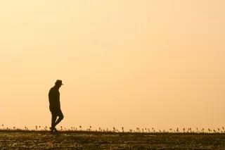 Mangrove Plantation Pakistan