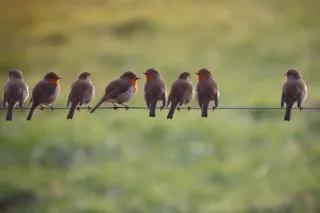As long as Putin does not change course in Ukraine, the G7 are well advised to stick to their suspension of Russia from their ranks seven brids plus one
