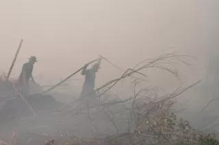 Waldbrand in Indonesien Waldbrand in Indonesien