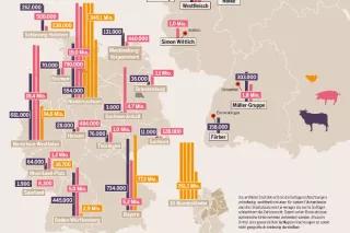 Ausschnitt aus der Grafik: Schlachtungen nach Fleischkonzernen und Bundesländern, 2014