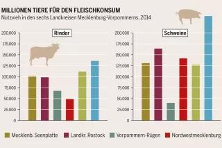 Nutzvieh Mecklenburg-Vorpommern