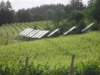 IMG_3849. Green New Deal: Grüne Landwirtschaft mit Sonnenkraft