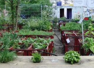 The princess garden in Berlin is more than an urban farming project, its pretty much a think tank for urban gardening