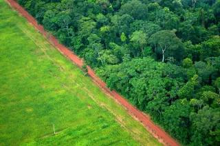 An aerial photograph shows the contrast betwenn forest and agriculture close to the Rio Branco, Acre, Brasil.
