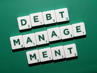 Debt management G20: Macroeconomics and Sovereign Debt