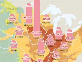 Aus dem Meeresatlas: So entsteht die Todeszone im Golf von Mexiko – Schweinezucht und intensiver Ackerbau Infografik aus dem Meeresatlas 2017: So entsteht die Todeszone im Golf von Mexiko – Schweinezucht und intensiver Ackerbau