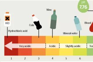 Infographic from the Ocean Atlas – pH Scale: What is Acidic, What is Alkaline?