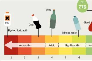 From the Ocean Atlas – pH Scale: What is Acidic, What is Alkaline? Infographic from the Ocean Atlas – pH Scale: What is Acidic, What is Alkaline?