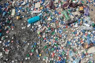 FD8_1465 Plastikmüll am Strand
