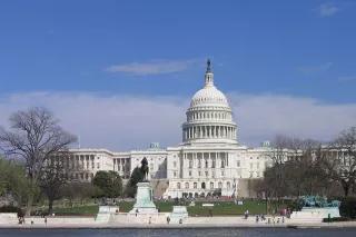 Der Senat und das Repräsentantenhaus in den USA Das Kapitol in Washington D.C.