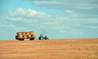 Weltweit gibt es über 570 Millionen Landwirt/innen Ein Traktor fährt über ein weites Feld
