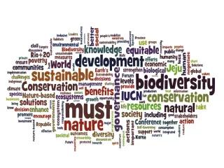 Wordled Jeju Declaration from the September 2012 #iucncongress New Economy of Nature: Nature Capital and Biodiversity