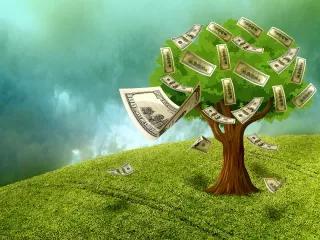 New Economy of Nature: Natural Capital and Gross Domestic Product as a Controversial Indicator New Economy of Nature: Natural Capital and Gross Domestic Product as a Controversial Indicator