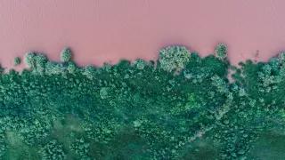 Pink river with green grass Pink river with green grass in Phalaborwa, South Africa