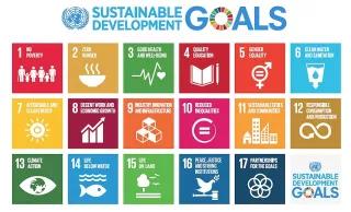 Visualisation of the 17 sustainable development goals