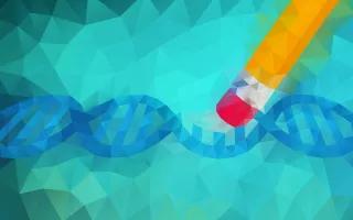 Genome Editing Gentechnik