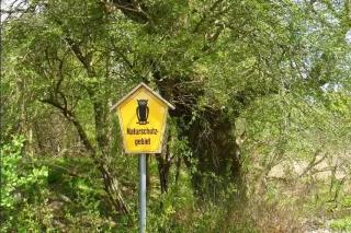 Legitimierte Zerstörung von Biodiversität Ein gelbes Naturschutzgebiets-Schild steht vor einem Baum
