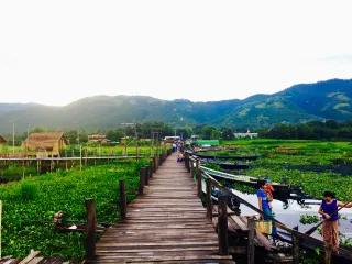Feminist Foreign Policy in Myanmar: long wooden path between green fields