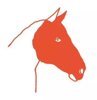 Böll.Thema - Illustration - Pferdekopf