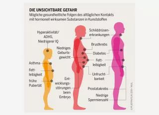 Plastikatlas - Infografik: Die unsichtbare Gefahr Plastikatlas - Infografik: Mögliche gesundheitliche Folgen des alltäglichen Kontakts mit hormonell wirksamen Substanzen in Kunststoffen.