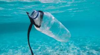 Plastik im Meer/ Foto: Plastikflasche schwimmt durchs Meer Plastik im Meer/ Foto: Plastikflasche schwimmt durchs Meer