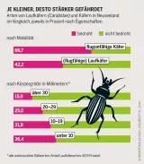 Grafik: Arten von Laufkäfern (Carabidae) und Käfern in Neuseeland im Vergleich, jeweils in Prozent nach Eigenschaften