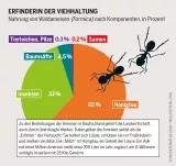 Grafik: Nahrung von Waldameisen (Formica) nach Komponenten, in Prozent