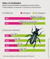 Small is vulnerable Graphic: Small is vulnerable