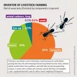 Graphic: Inventor of livestock farming