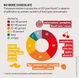 Graphic: Insect Atlas 2020  13b - No more chocolate