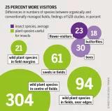 Graphic: Insect Atlas 47b - 25 percent more visitors